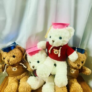 img_0807 Graduation Teddy Bear
