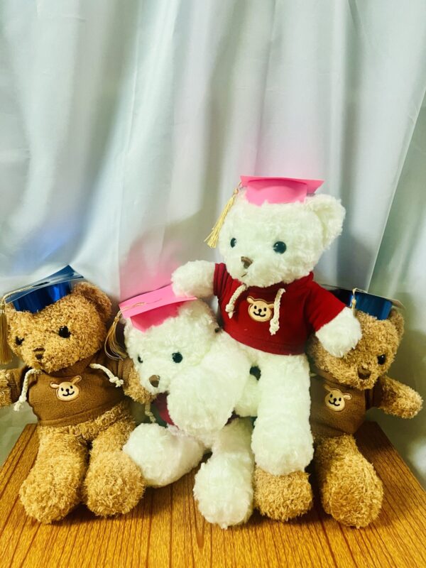 Graduation Teddy Bear