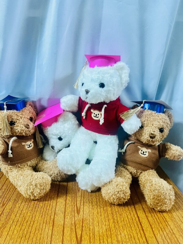 Graduation Teddy Bear