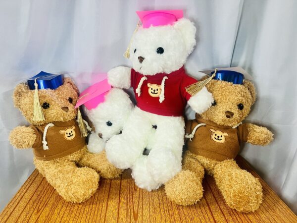 Graduation Teddy Bear