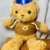 Graduation Teddy Bear
