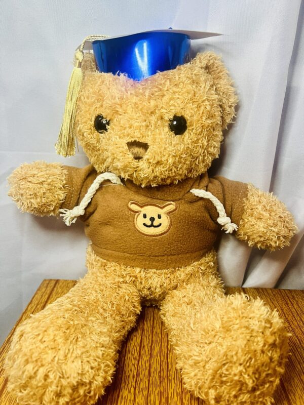 Graduation Teddy Bear