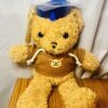Graduation Teddy Bear