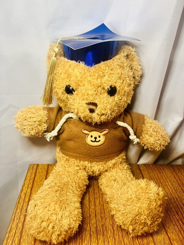 Graduation Teddy Bear
