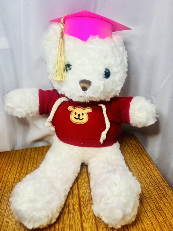 Graduation Teddy Bear