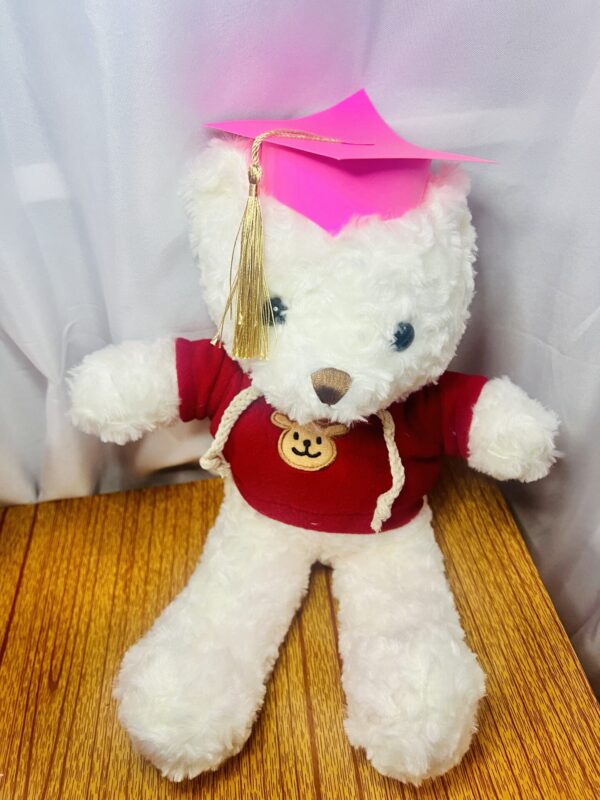Graduation Teddy Bear