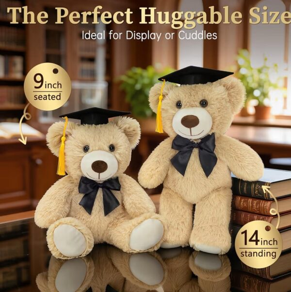 img_9354 Graduation Teddy Bear