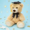 img_9355 Graduation Teddy Bear