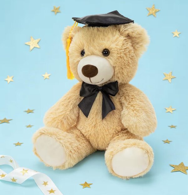 img_9355 Graduation Teddy Bear