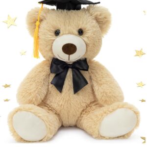 img_9356 Graduation Teddy Bear