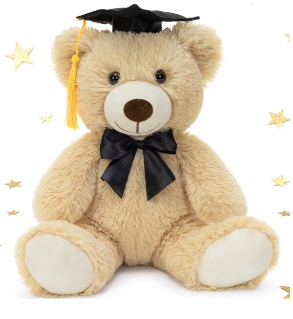 img_9356 Graduation Teddy Bear