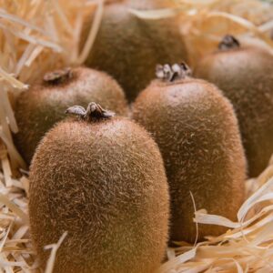 kiwi, fruits, healthy, organic, harvest, kiwi, kiwi, kiwi, kiwi, kiwi
