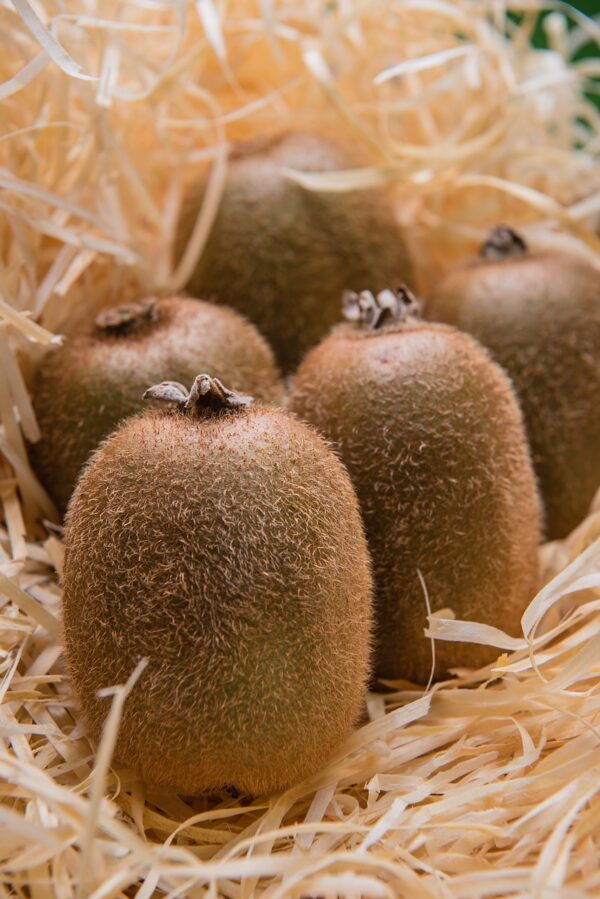 kiwi, fruits, healthy, organic, harvest, kiwi, kiwi, kiwi, kiwi, kiwi