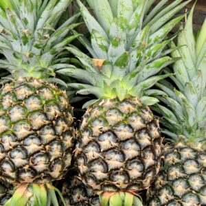 pineapple, fruit, food, pineapple, pineapple, pineapple, pineapple, pineapple