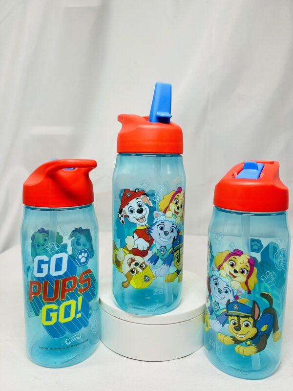 img_0503-3 Children Character Flip-Straw Water Bottles