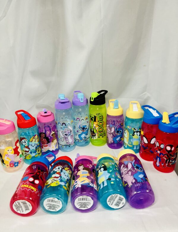 img_0536-2 Children Character Flip-Straw Water Bottles