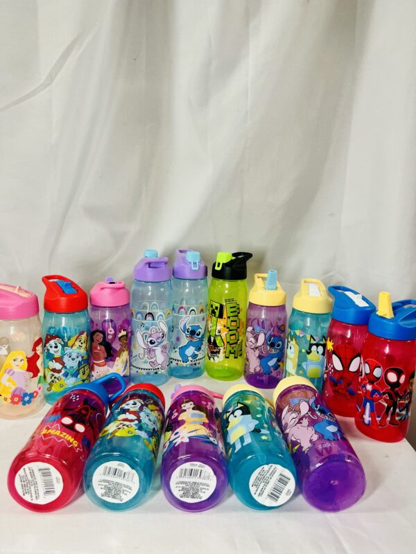 img_0540-6 Children Character Flip-Straw Water Bottles