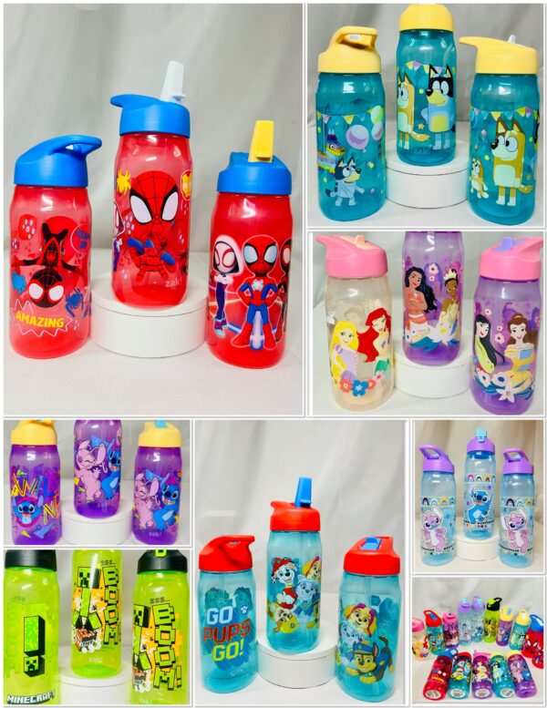 img_0571-9 Children Character Flip-Straw Water Bottles